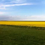 بيت للعطل Anton - Haus Deichperle