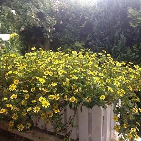 Casa vacanze Anton - Haus Deichperle *