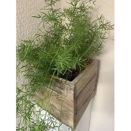 Anton - Haus Deichperle Casa vacanze *