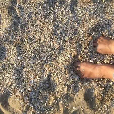 Anton - Haus Deichperle Casa vacanze