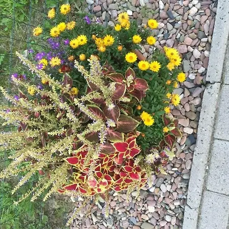 Anton - Haus Deichperle