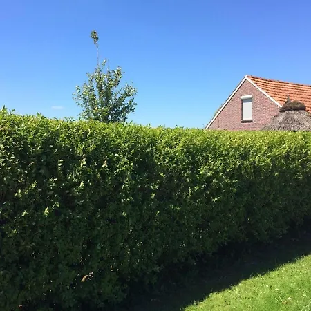 Anton - Haus Deichperle * ドルヌマージール