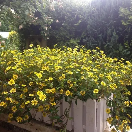 Anton - Haus Deichperle 別荘