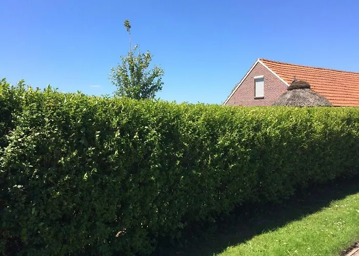 Anton - Haus Deichperle * 多纳莫塞尔