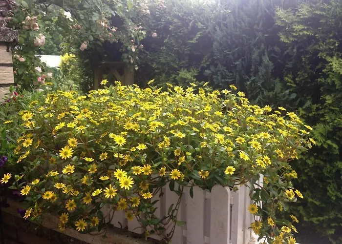 Anton - Haus Deichperle 度假居