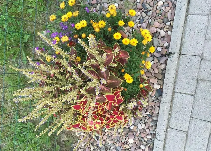 度假居 Anton - Haus Deichperle 多纳莫塞尔