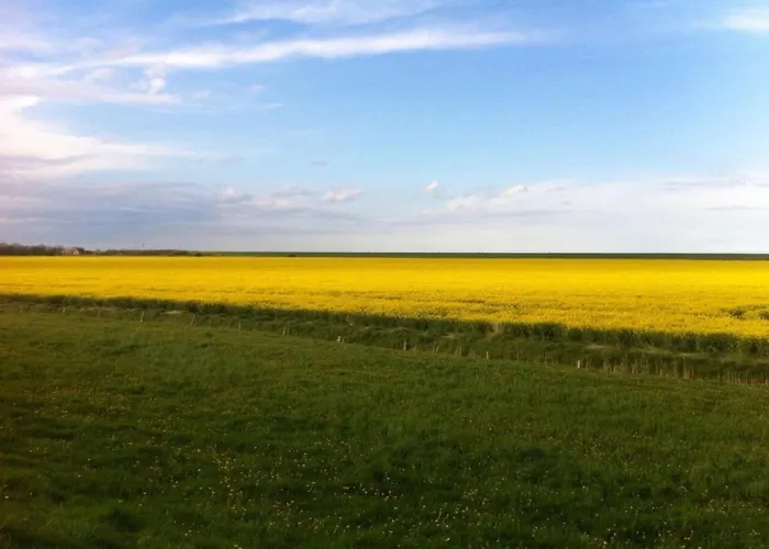 度假居 Anton - Haus Deichperle